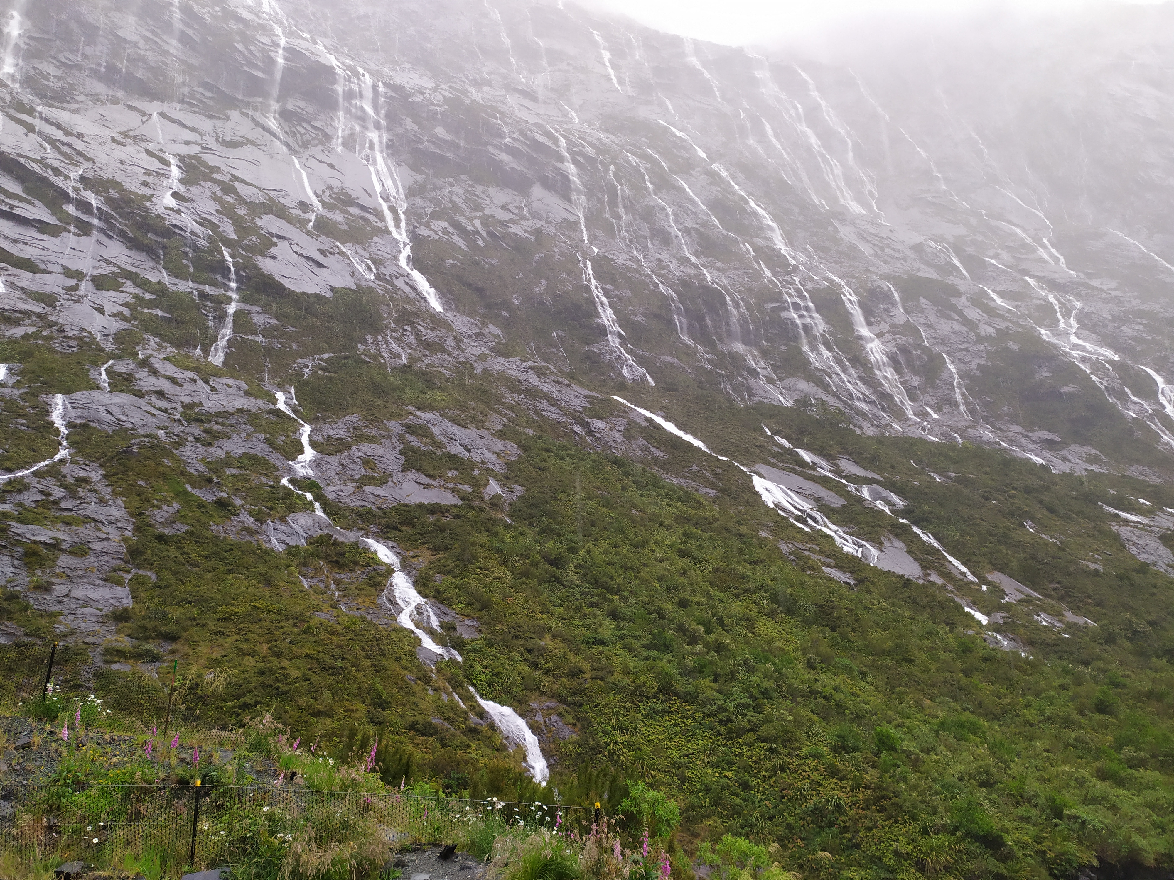 Milford Sound sous la drache, c'est pas pour les poules mouillées