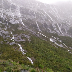 Milford Sound sous la drache, c'est pas pour les poules mouillées