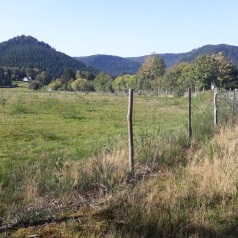 Le hameau de Salm de loin, vu depuis une pâture séparée de la route par une clôture discrète. En arrière plan, un sommet vert de sapins