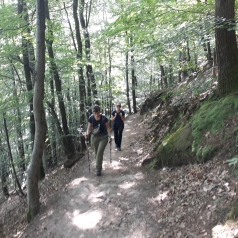 Deux randonneuses, l'une équipée de bâtons de marche, en montée dans la forêt
