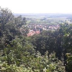 Village en contre-bas, niché au milieu d'arbres. Au loin, la plaine d'Alsace