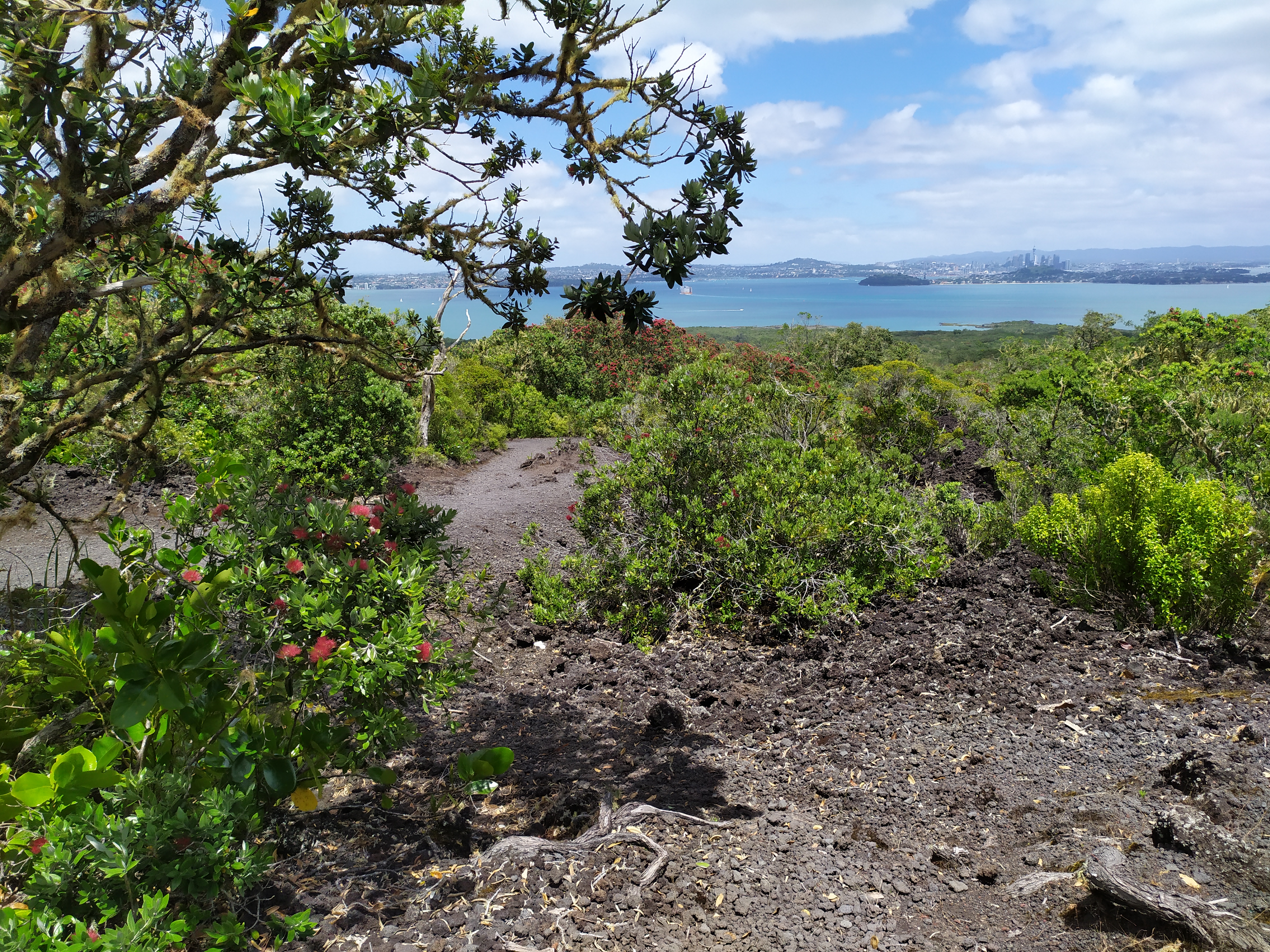 Rangitoto et SkyTotower