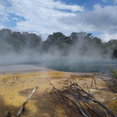 Rotorua, entre Maoris et oeuf pourri